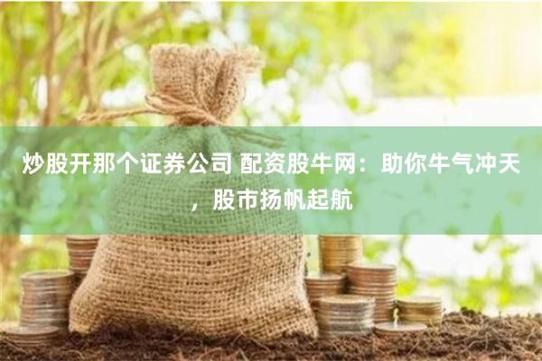 炒股开那个证券公司 配资股牛网：助你牛气冲天，股市扬帆起航
